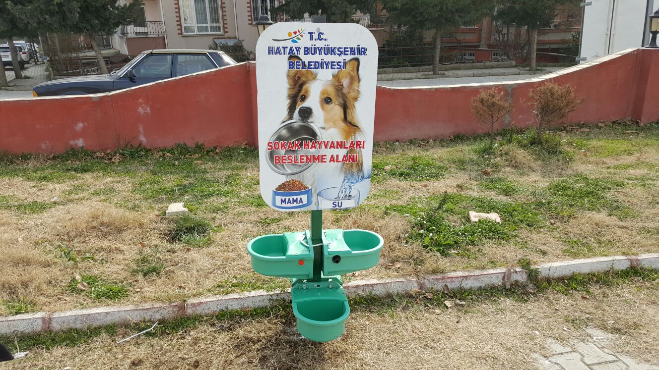 HBB Sessiz Dostlarına Sahip Çıkıyor