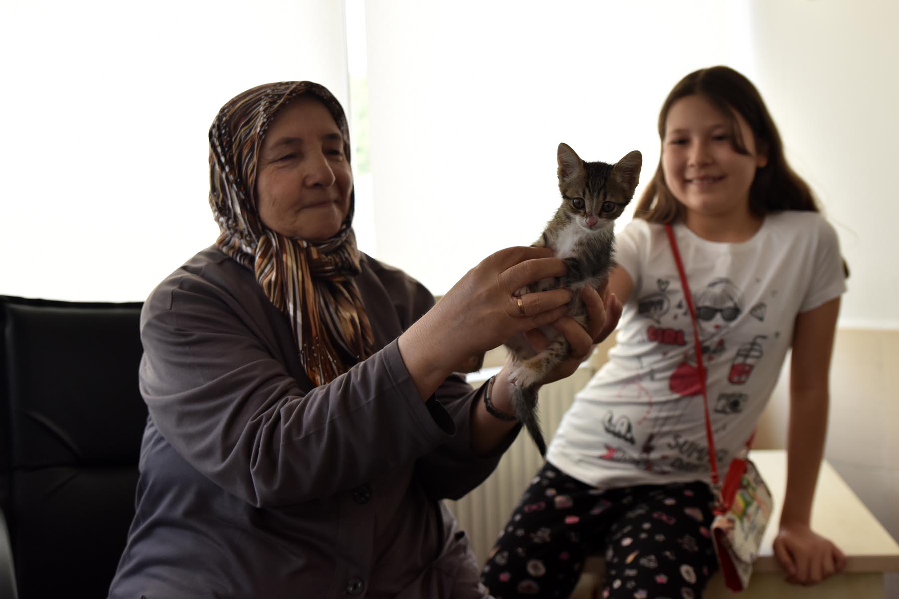 6 Ayda 532 Hayvan Sahiplendirildi