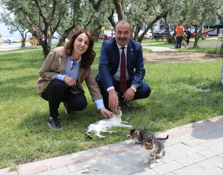 Mudanya Belediyesi'ne "Sağlıklı Çevre" Ödülü