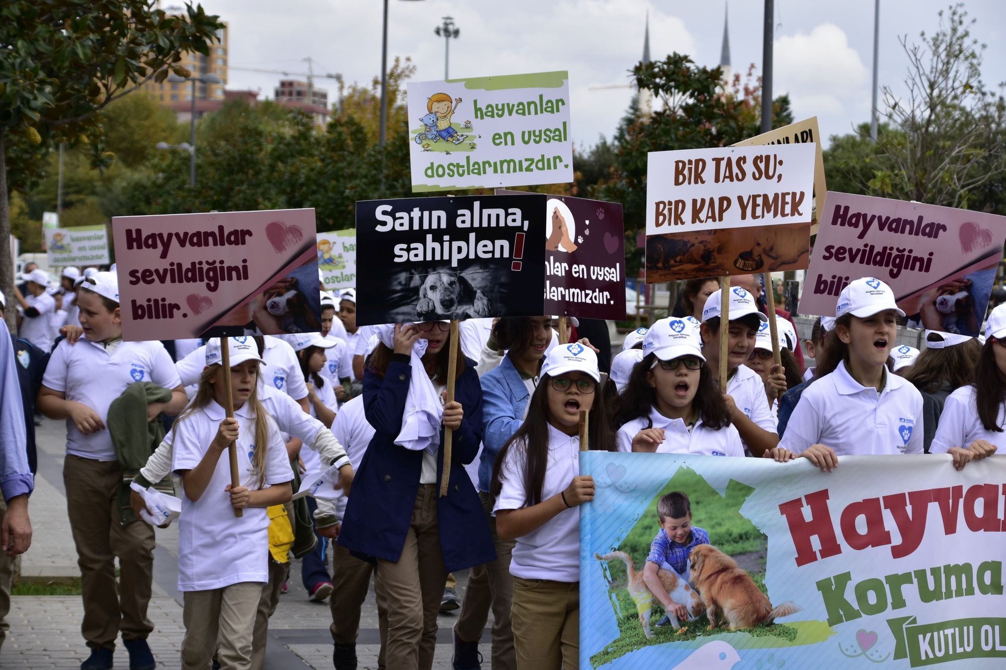Sahipsiz Hayvanlar İçin Yürüdüler