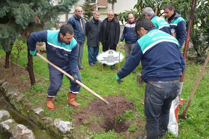 Körfez´de 47 Bin Fidan Toprakla Buluşturuldu