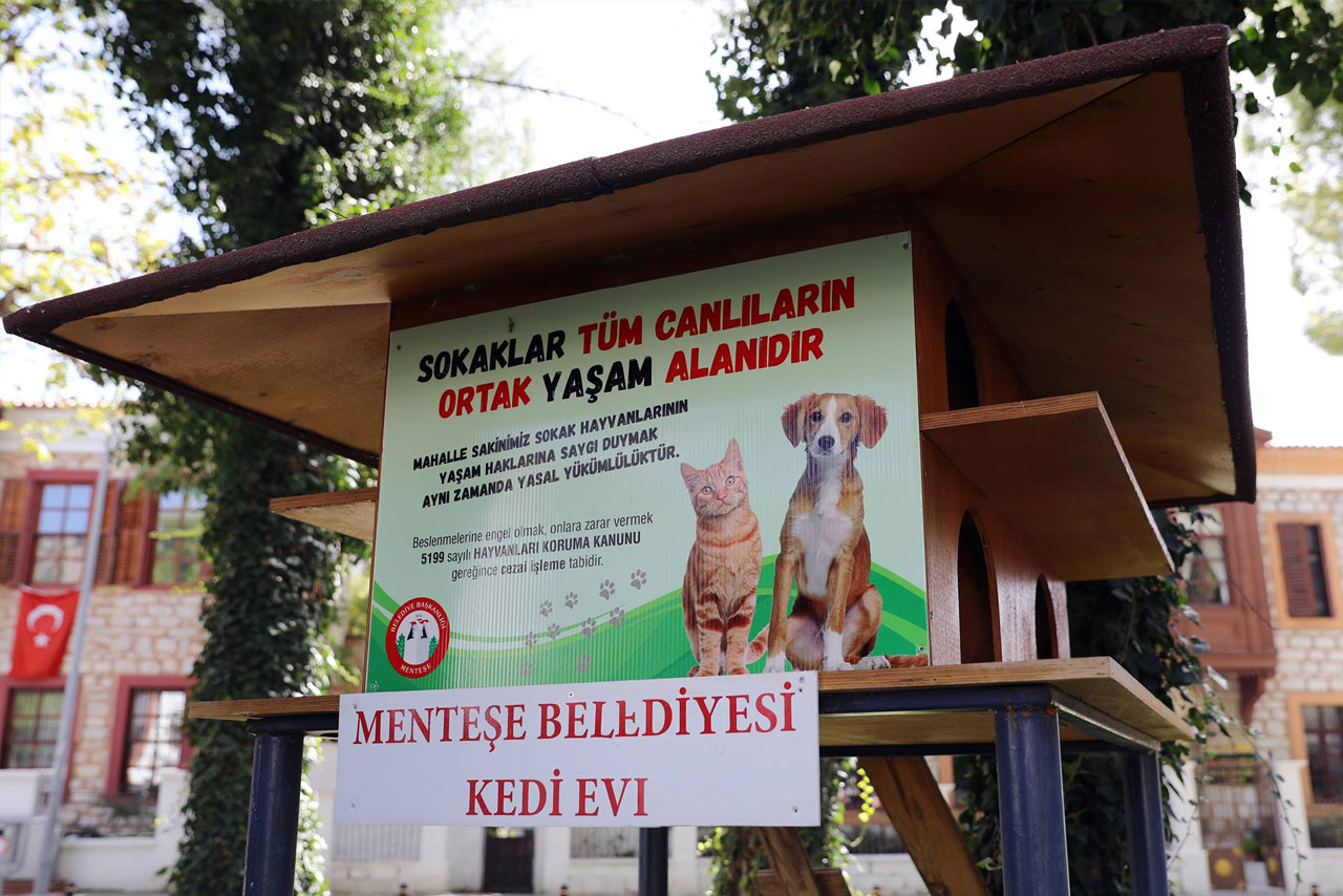 Sokaklar Tüm Canlıların Ortak Yaşam Alanıdır