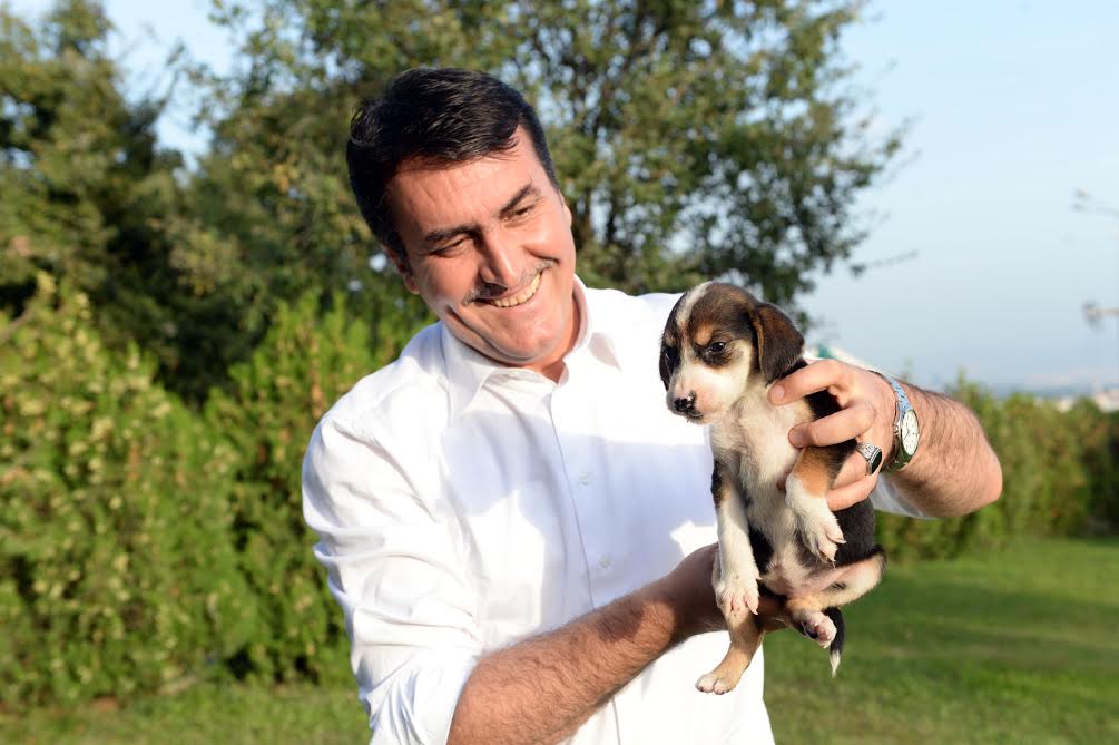 Osmangazi’de 493 Sokak Hayvanı Sıcak Yuvaya Kavuştu