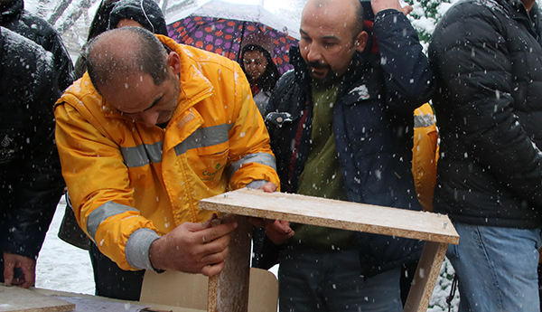 Kar Altında Sokağın Kedisi Şenliği