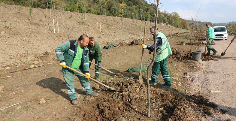 1 Yılda 325 Bin Fidan Toprak İle Buluştu