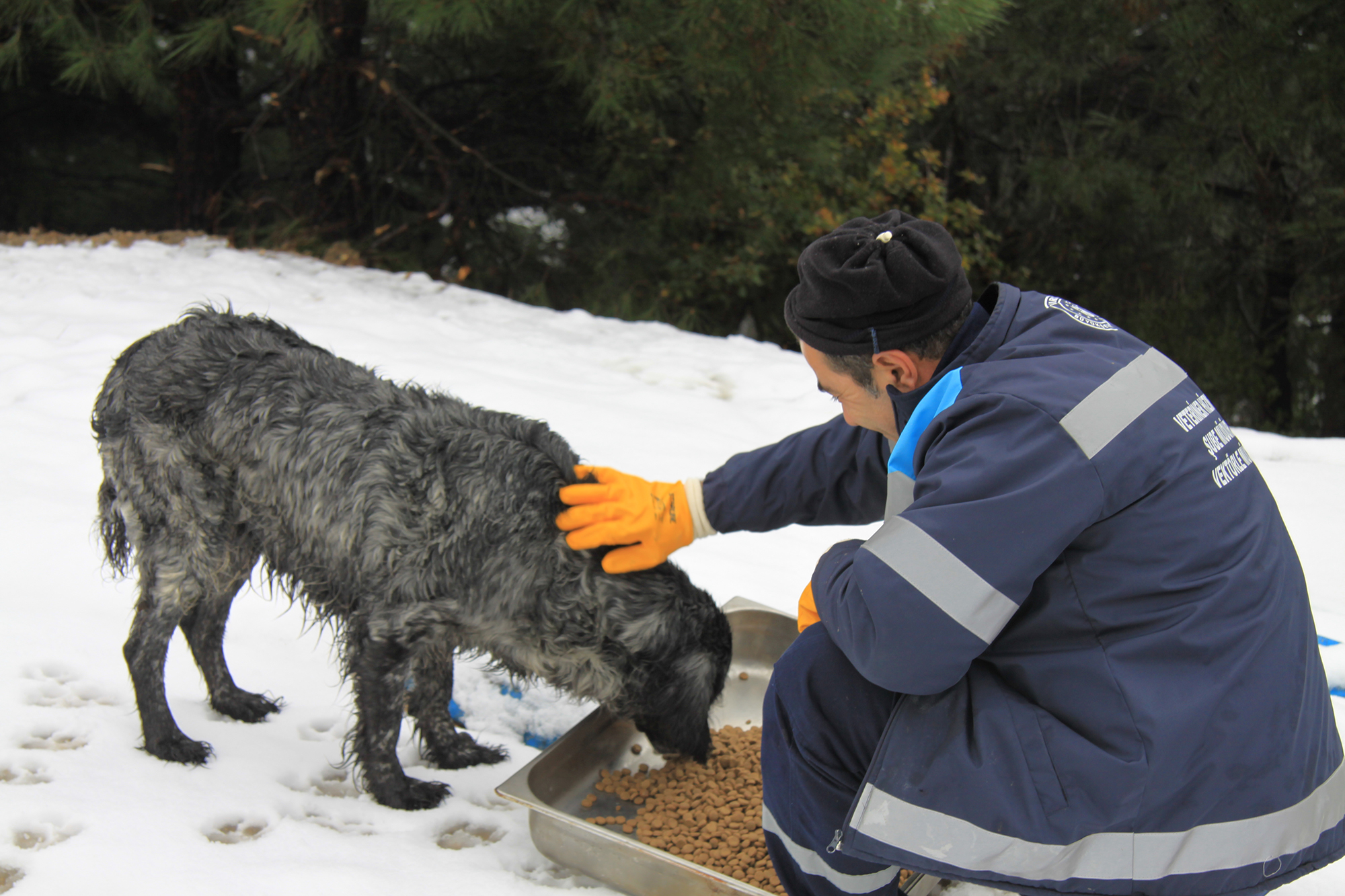Kar Bastırdı Can Dostlar Unutulmadı