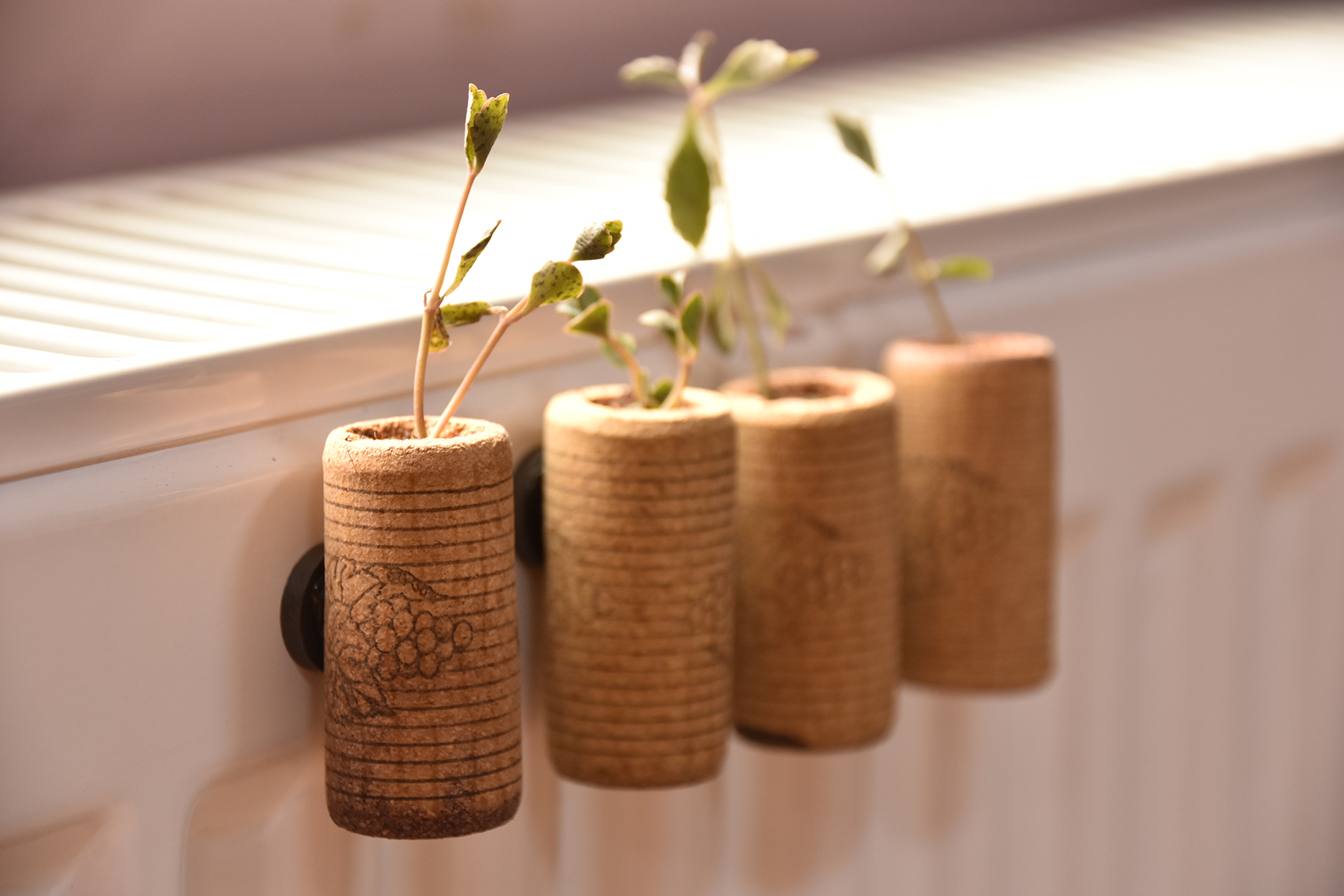 Yeni Yıla Geri Dönüşüm İle GirdilerENİ YILA GERİ DÖNÜŞÜM İLE GİRDİLER