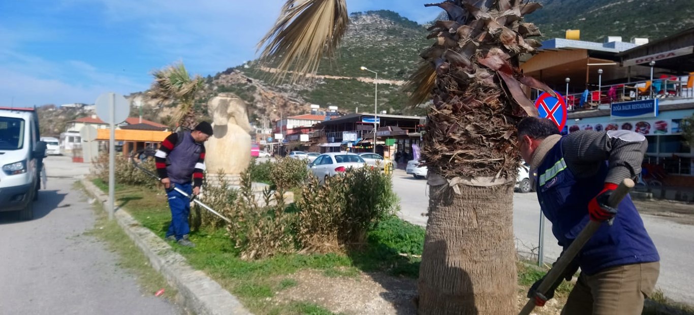 Hatay Büyükşehir Belediyesi Ağaçlandırma Çalışmalarını Sürdürüyor