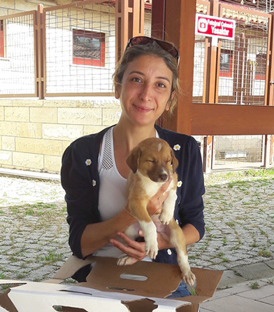 Kocaeli Büyükşehir’den “Yerel Hayvan Koruma Görevlisi” Eğitimi