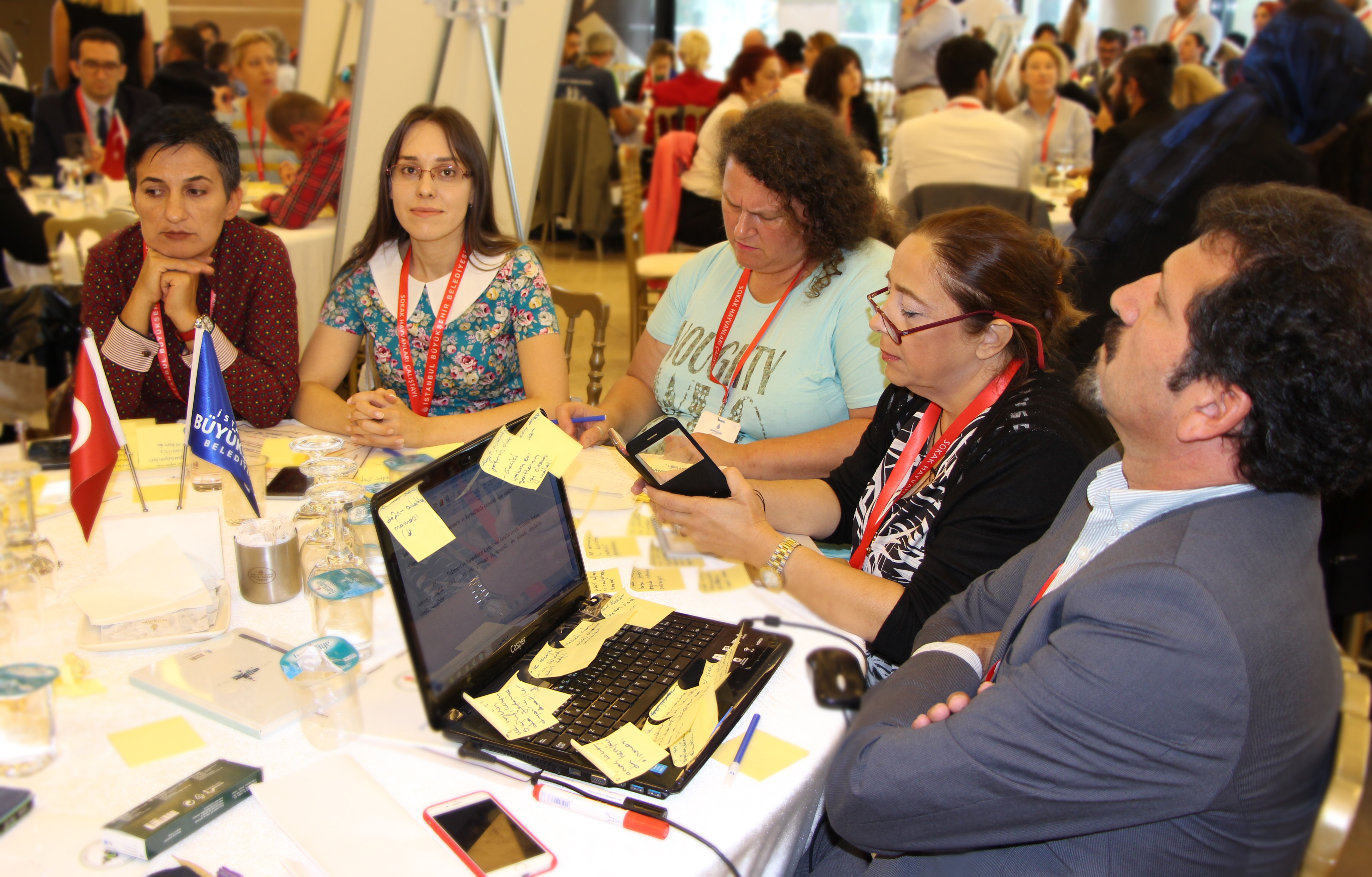 İBB’den Sokak Hayvanları Çalıştayı