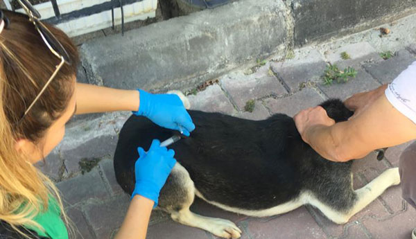 Aşılama Ekibi Mahallelerde