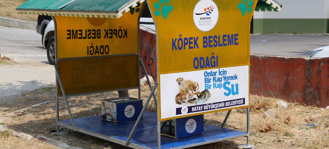 Hatay Büyükşehir Sessiz Dostlara Sahip Çıkıyor