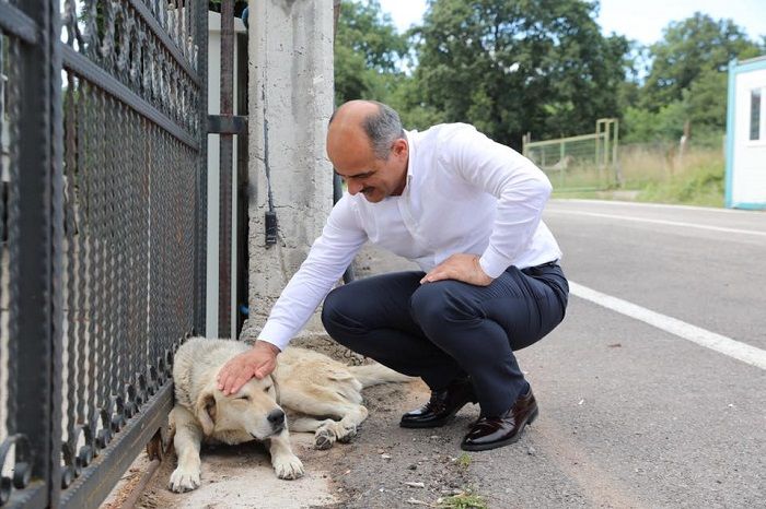 Başkan Söğüt, "Her Canlının Yaşam Hakkı Vardır"