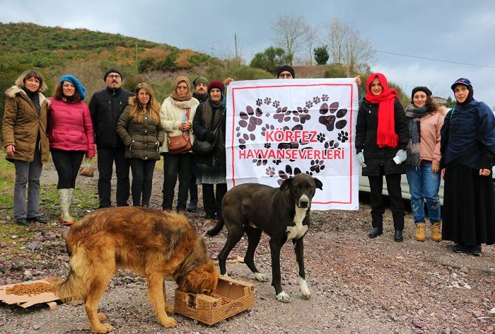Körfez´de Sokak Hayvanlarına Mama Desteği