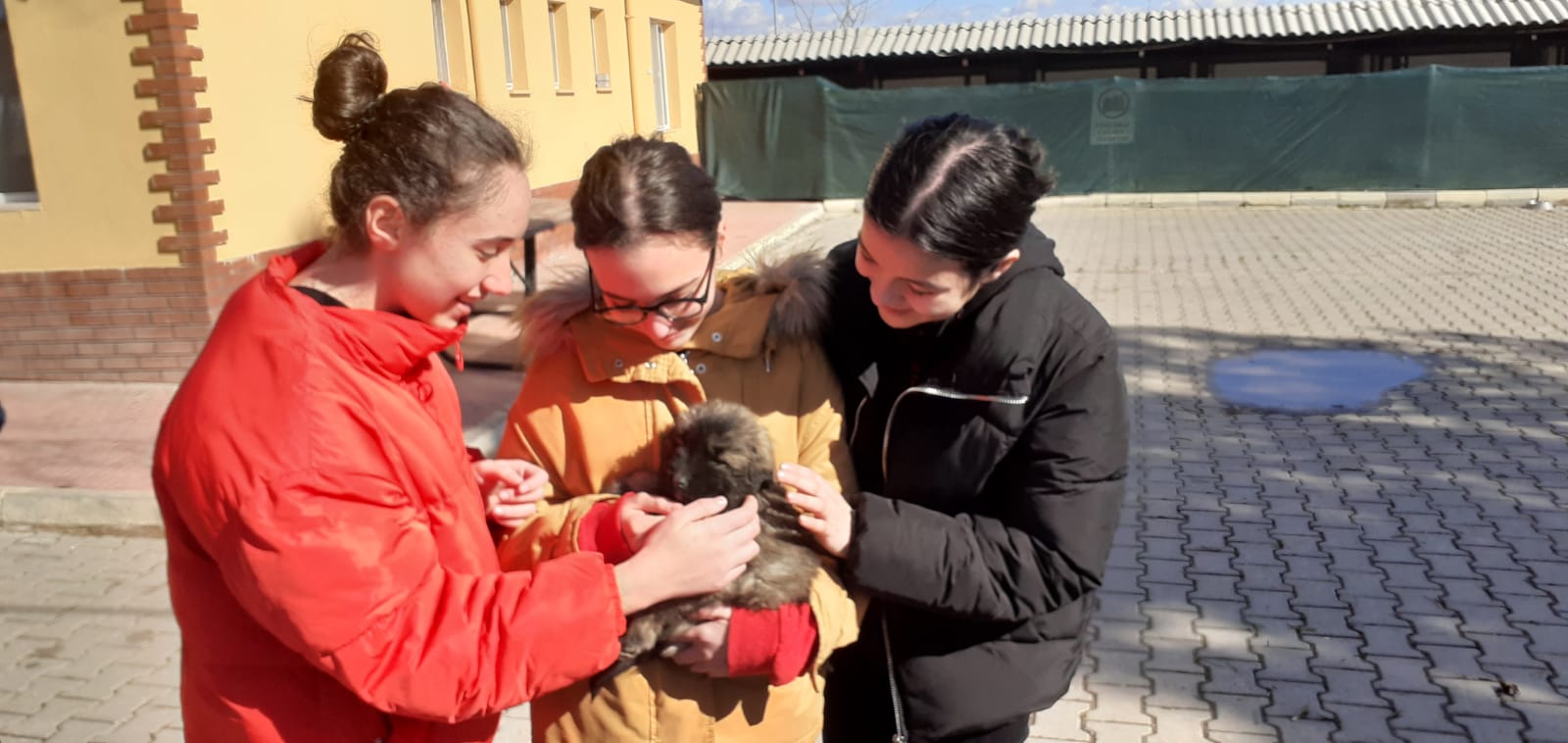 Çocuklar Hayvan Barınağı’nı Ziyaret Etti