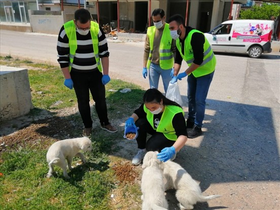 Sokakta Yaşayan Canlara “Gönülden” Destek