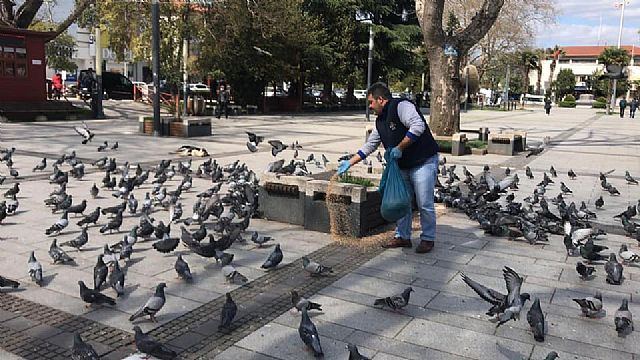 Sokak Hayvanları Düzenli Besleniyor