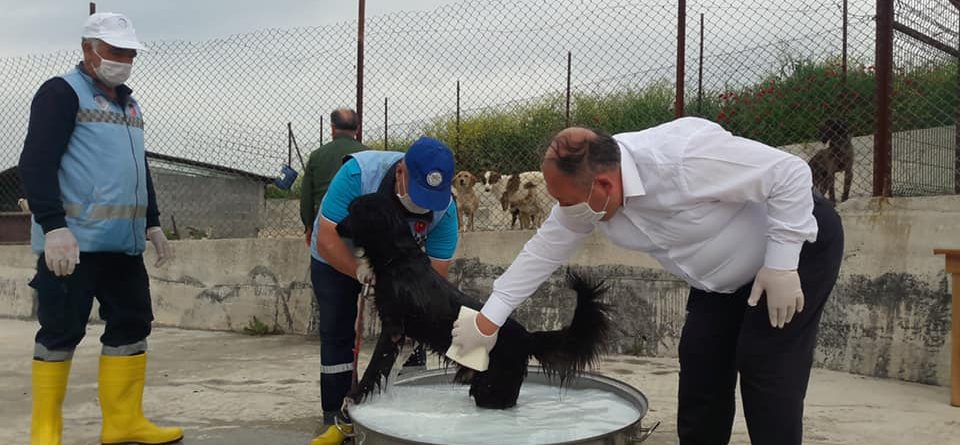 Can Dostlarımızın Bakınlarını Yapıyoruz