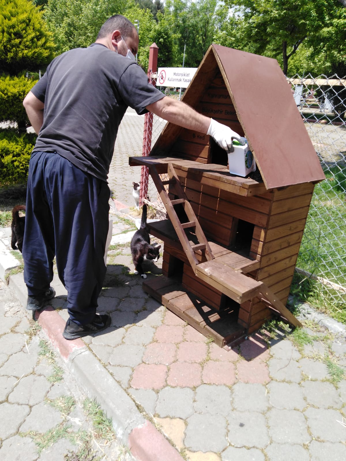 Kedi Ve Köpek Evlerine Mamalar Bırakılıyor