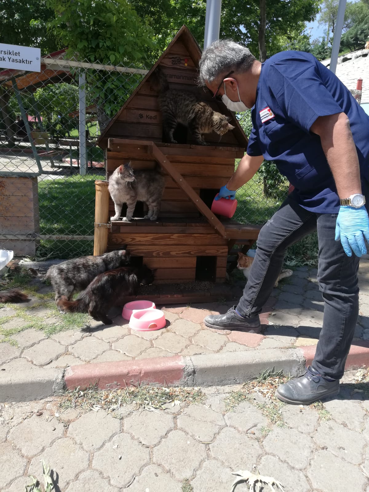Kahramanmaraş Büyükşehir Sokak Hayvanlarını Unutmadı