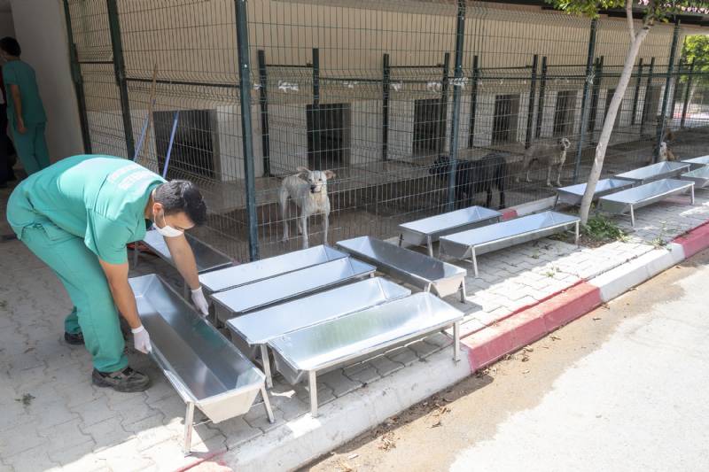 Mersin Büyükşehir’den Patili Dostlara Özel Mama ve Su Teknesi