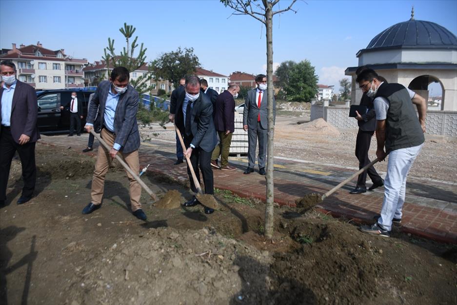 52 Fidan Toprakla Buluştu
