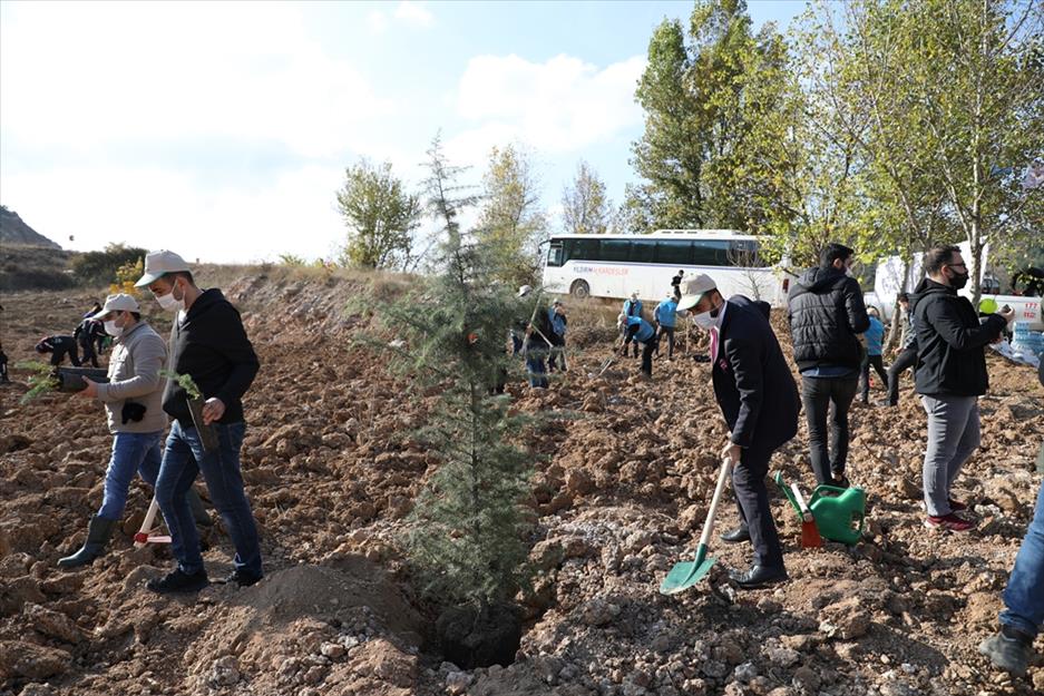 İnegöl’de 2 Bin Fidan Toprakla Buluştu