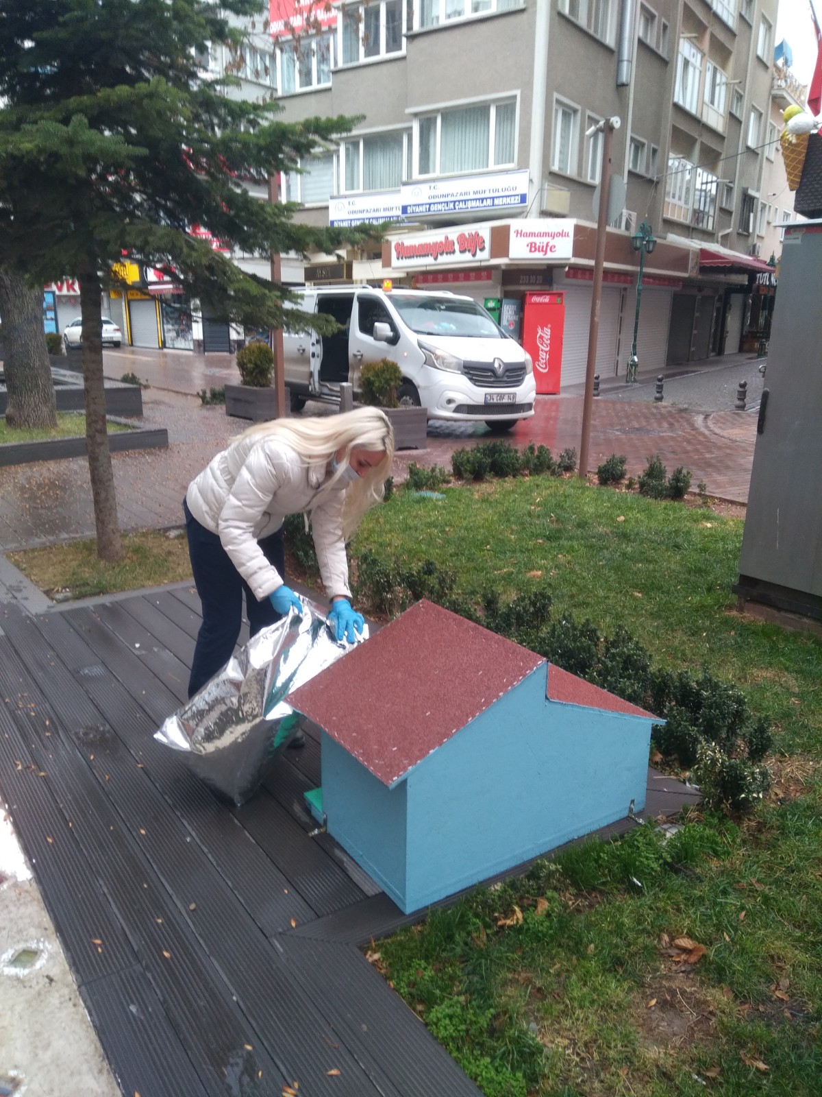 Odunpazarı Belediyesi Sokakta Yaşayan Hayvanları Unutmadı