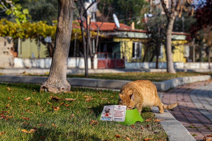 Büyükşehir Can Dostları Unutmadı