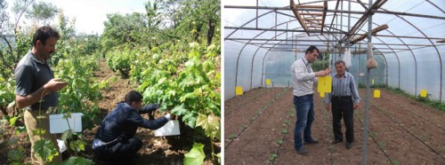 20130619_ilacsizmucadele2