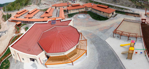 sokak hayvanlari