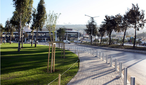 izmir - agac