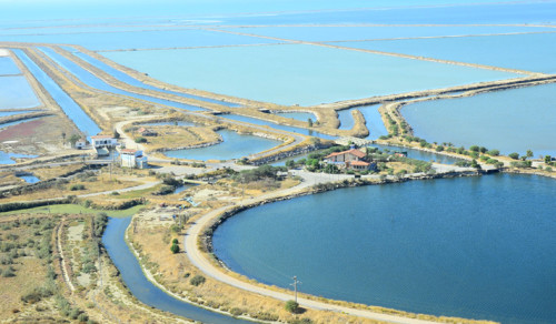 izmir-kus cenneti
