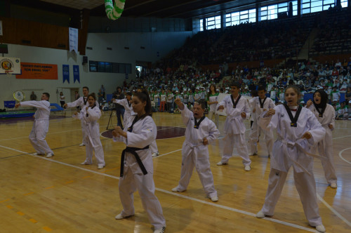 BURSA-engelli