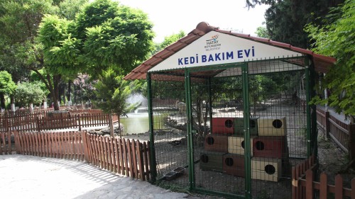 hatay kedi evi