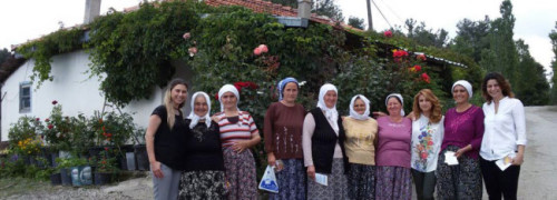 Sağlıklı Toplum, Sosyal Belediye