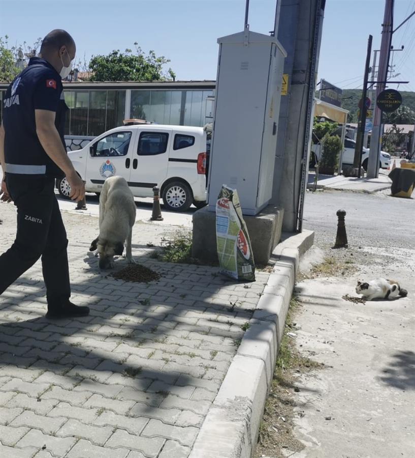 Can Dostlarımız Bize Emanet