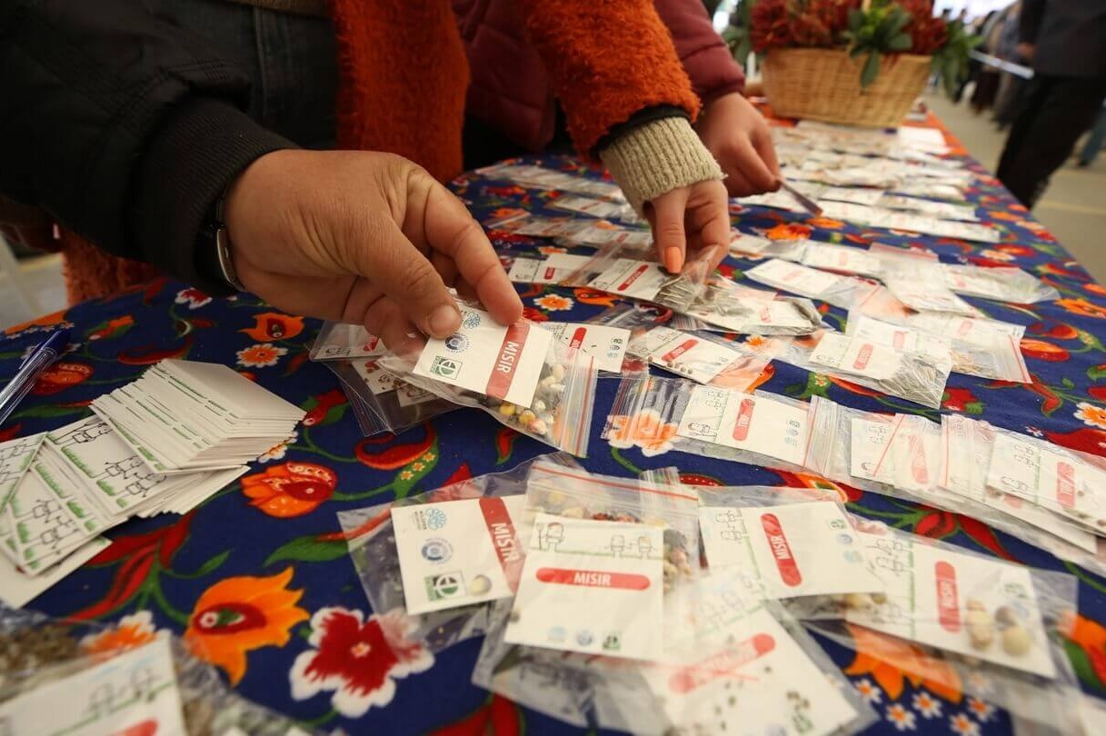 Yerel Tohumlar Bu Şenlikte Geleceğe Taşınacak.