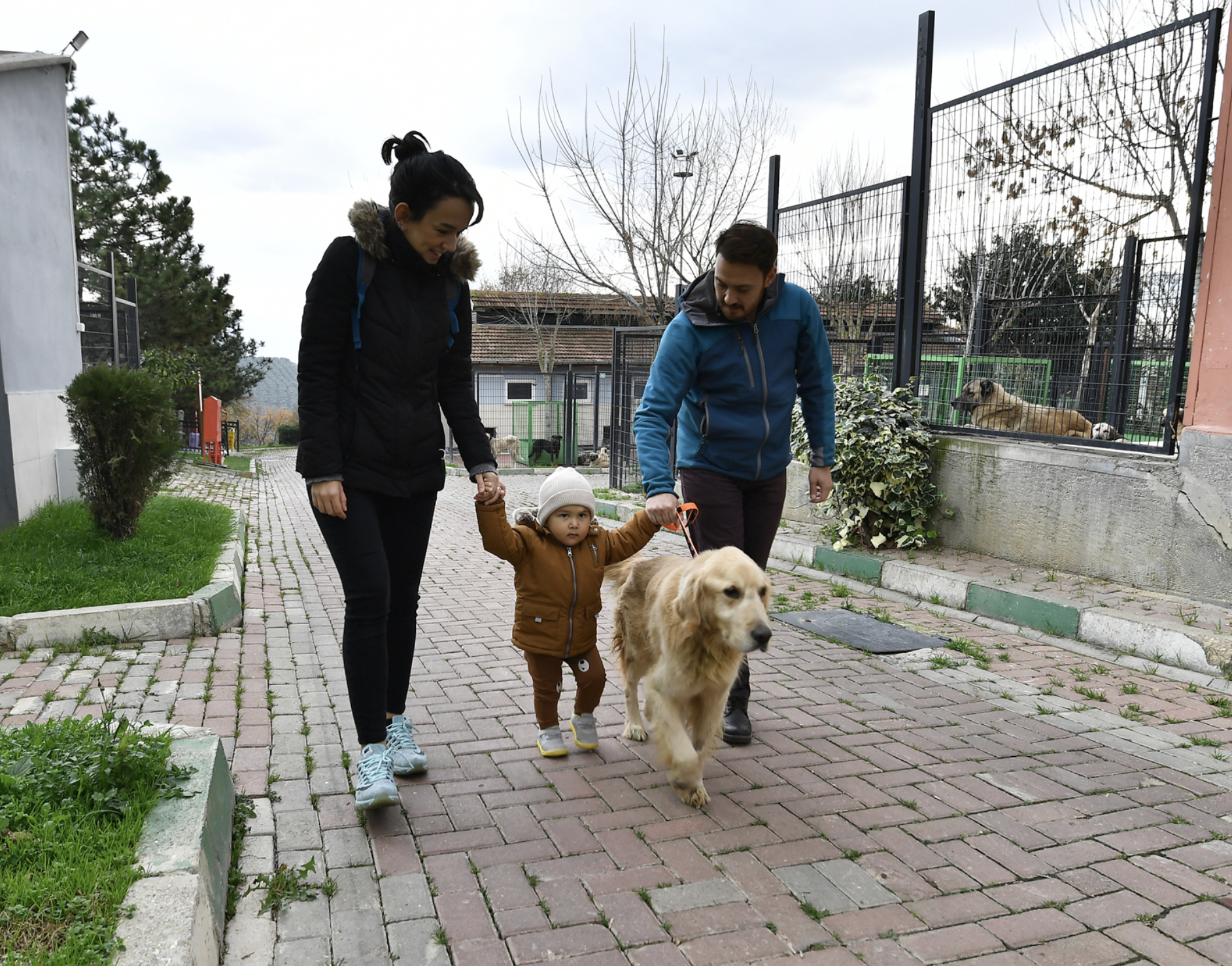 78 Can Dost Sıcak Yuvaya Kavuşturuldu