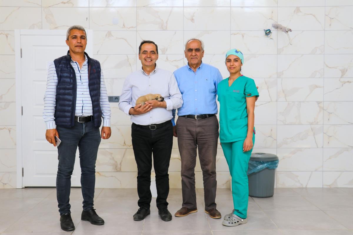 Sokak Hayvanları Bakım ve Tedavi Merkezimiz Hizmete Açıldı