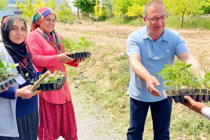 Akçadağ Belediyesi Sebze Fidelerini Çiftçilerle Buluşturdu