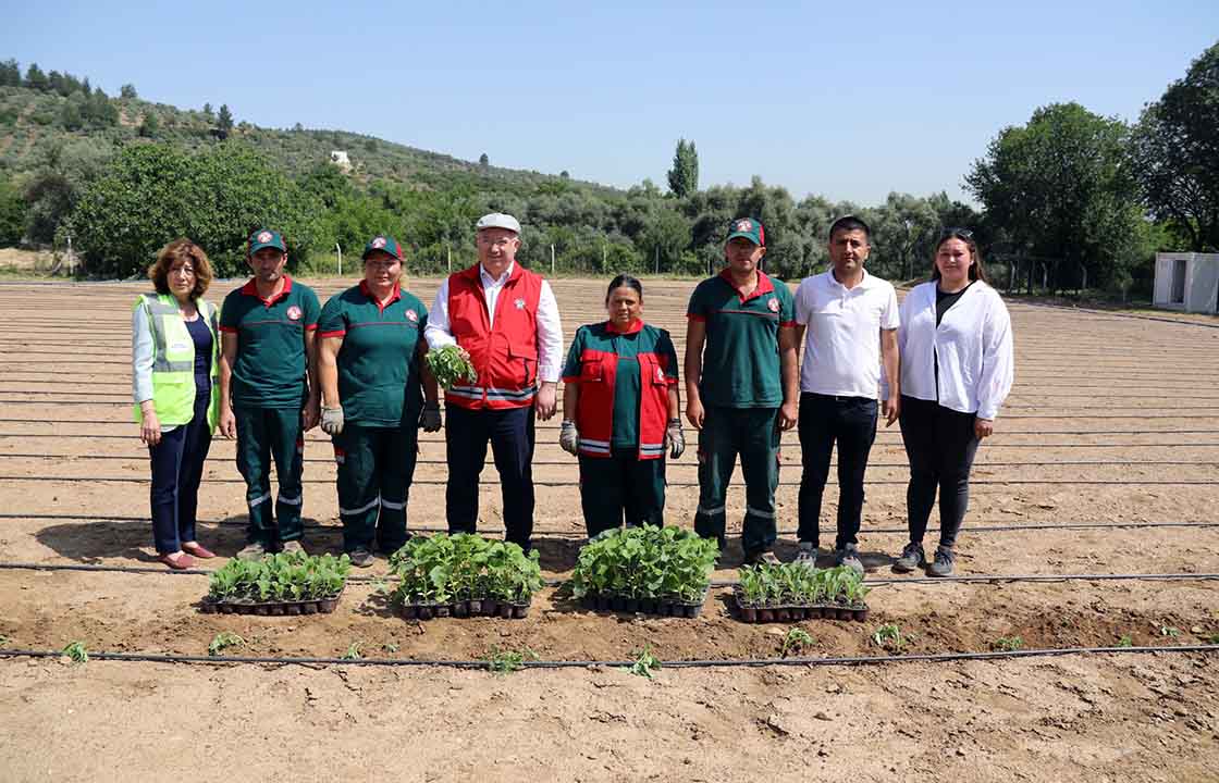 Menteşe’de 25 Bin Fidan Toprakla Buluştu