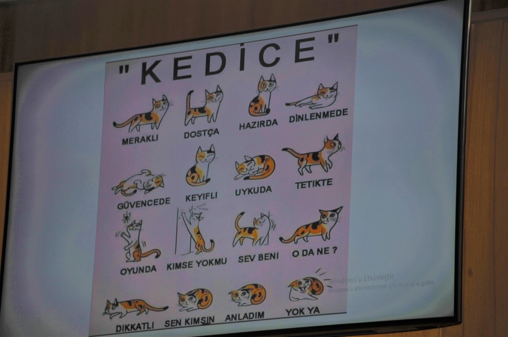 Büyükşehirden 'Hayvan Dostu' Eğitimi