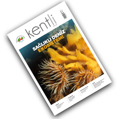 KENTLİ DERGİSİ SAYI 51